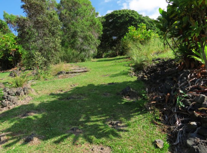 Amy Greenwell Ethnobotanical Garden, United States